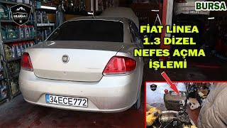 ARABADAN KÖTÜ KOKU GELİYOR! (2013 FİAT LİNEA 1.3 MOTOR EGR | MANİFOLD KURUM TEMİZLİĞİ)