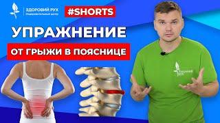 Упражнение от грыжи в пояснице #Shorts