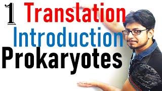 Translation in prokaryotes introduction | prokaryotic translation lecture 1