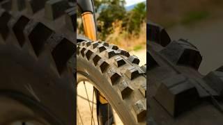 Schwalbe Shredda Review #ebikes