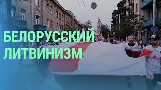 Что такое идеология литвинизма и является ли радикальный белорусский национализм угрозой Литве?