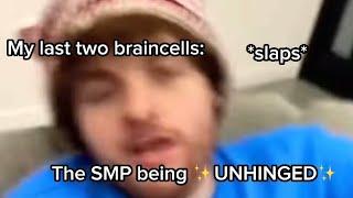 The DSMP being UNHINGED for 4 minutes and 33 seconds