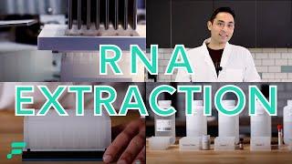 RNA Extraction Demonstration