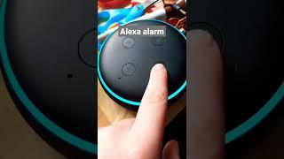 Alexa alarm