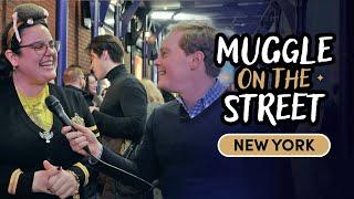 Prepare For Some VERY Slytherin Behaviour! | Muggle On The Street