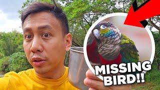 EMERGENCY! Our Parrot Escaped and is Missing!  | Vlog #1783