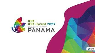 The IDB Group as a Partner for the Private Sector