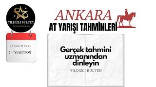 9 Kasım 2024 cumartesi ANKARA At Yarışı Tahminleri