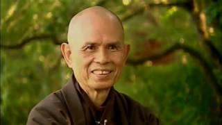 Thich Nhat Hanh on Karma 2004 EngStFr