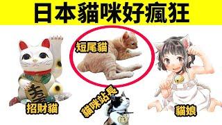 日本為什麼這麼愛貓？貓娘、招財貓、貓咪文化很流行！
