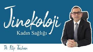 Jinekoloji Kadın Sağlığı - Dr. Filip Taşhan - Doktor Videoları