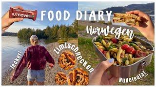 FOOD DIARY #1 aus NORWEGEN - Was ich in EINER WOCHE im Auslandssemester esse + Zimtschnecken Backen!