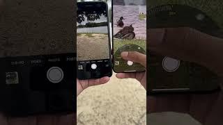 iPhone 15 PRO Max VS iPhone 8 Plus- Design & Camera Zoom Test