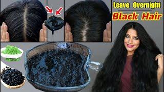 Overnight Black Hair Serum To Reverse Premature Hair Greying & Turn White Hairs Black Naturally