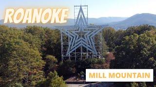 Roanoke Mountain Biking:  Mill Mountain Trail Peek