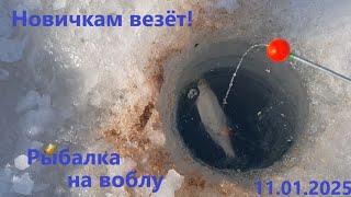 Рыбалка на ВОБЛУ. Новичкам везёт! КАПЧАГАЙ. 11.01.2025