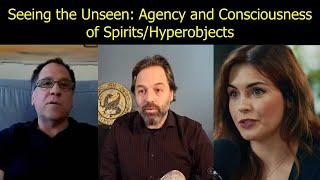 Seeing the Unseen: Agency and Consciousness of Spirits/Hyperobjects : Vervaeke, Pageau, Perry