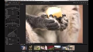 Capture One Pro 8 Webinar | Ultimate Image Quality