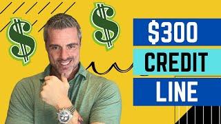 What does a $300 credit line mean??