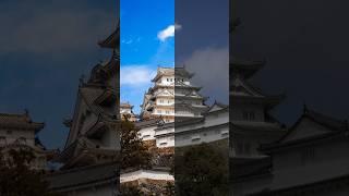 how to make your photos looking sunny#editinlightroom #japanphoto #himejicastle