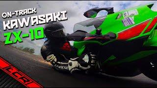 2023 Kawasaki ZX-10R Track Test | Yes I Crashed! ‍️