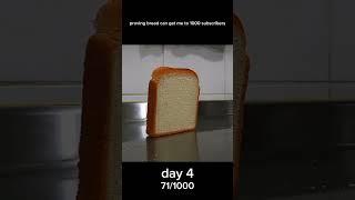 Proving bread can get me to 1000 subs day 4 #funnyvideo #memes #memesonlylegendswillfindfunny #funny