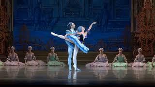 Sleeping Beauty.  Nina Ananiashvili, Alexander Volchkov. State Ballet of Georgia. 2018.