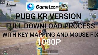 Install PUBG Mobile Korean (KR) 2.8 UPDATE Version on Gameloop 1080P  With Mouse Rotation Fix