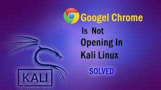 how to Fix Google Chrome Not Opening On Kali Linux | 100%