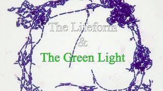 The Lifeform and Green Light Theory | The Backrooms