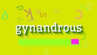 WIE SPRICHT MAN GYNANDROUS AUS?  #gynandrous (HOW TO PRONOUNCE GYNANDROUS? #gynandrou