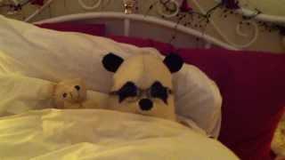 Panda Bear in Bed with his mate Teddy