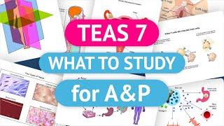 TEAS Science Review A&P | What To Study Checklist