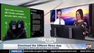  LIVE: 29News Morning Rush