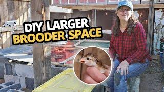 How to make a brooder for Chicks, Ducklings, and Keets. DIY Larger brooder space.