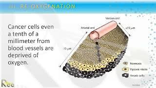 Session 2: Radiobiology of Hypofractionation