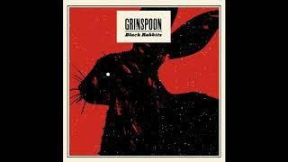 Grinspoon - Good to Go - Black Rabbits iTunes Bonus Track