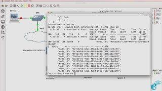GNS3 Talks: GNS3 REST API Part 5: cURL and bash scripting with the GNS3 REST API