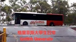 Griffith University Daily Life Vlog澳洲格里菲斯大學日常