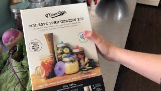 How I make pickled turnips with Mason Tops fermentation kit.