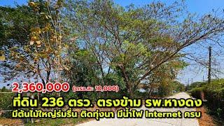 ที่ดินร่มรื่น 236 ตรว. ขายถูก 10,000/ตรว.  ใกล้ รพ.หางดง แค่ 1.5 กม. ใกล้ถนนเชียงใหม่-หางดง 1 กม