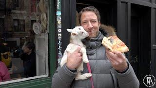 Barstool Pizza Review - Best Pizza (Brooklyn, NY) Bonus Goats