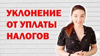 Уклонение от уплаты налогов: в чем отличие от обычных налоговых нарушений? Видеоблог