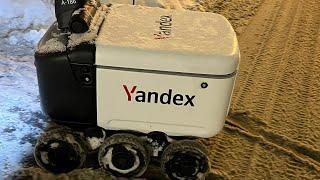 Yandex  Russia   robot delivery  Мурино