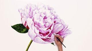 Painting a BIG Peony in watercolor - a time-lapse with Anna Mason