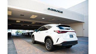 Lexus Complimentary 5K & 10K Service Appointment Tips