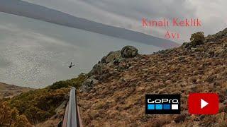 2023 Kınalı Keklik Avı Gopro 10 Denemeler! Partridge hunting Охота на куропаток