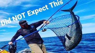 Monster Longtail Tuna caught by accident Sharky Shepo EP 3 2022