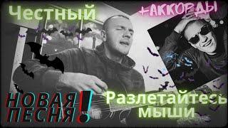 Честный-разлетайтесь мыши,под гитару(cover)+аккорды и текст