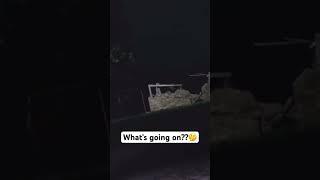 watch till the end ️ #notscary #jumpscare #swing #shorts